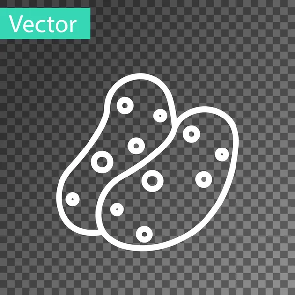 Weiße Linie Kartoffelsymbol Isoliert Auf Transparentem Hintergrund Vektor — Stockvektor