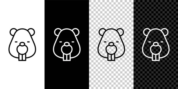 Set Line Beaver Animal Icon Isoliert Auf Schwarzem Und Weißem — Stockvektor