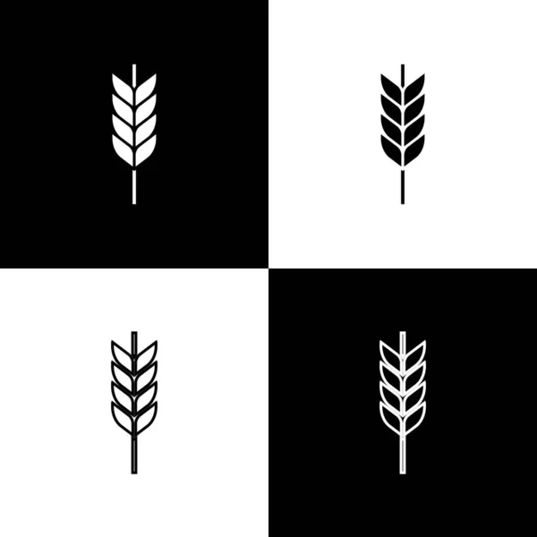 设置谷物设置与米 大麦图标分离的黑白背景 麦片面包的象征 — 图库矢量图片