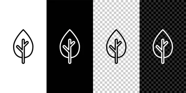 Establecer Línea Árbol Icono Aislado Sobre Fondo Blanco Negro Símbolo — Vector de stock