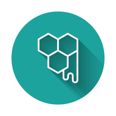 Beyaz çizgi bal peteği simgesi uzun gölge arkaplanı ile izole edildi. Bal hücrelerinin sembolü. Tatlı doğal yemek. Yeşil daire düğmesi. Vektör