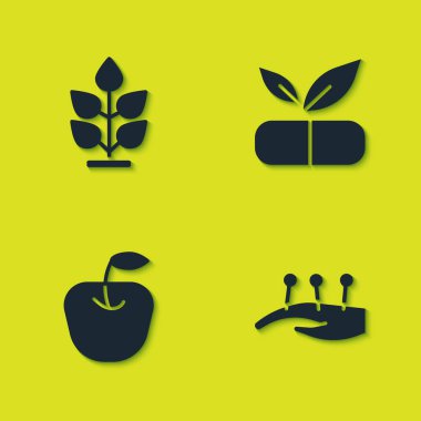 Bitki seti, akupunktur terapisi, bitki ikonlu elma ve tıbbi hap. Vektör.