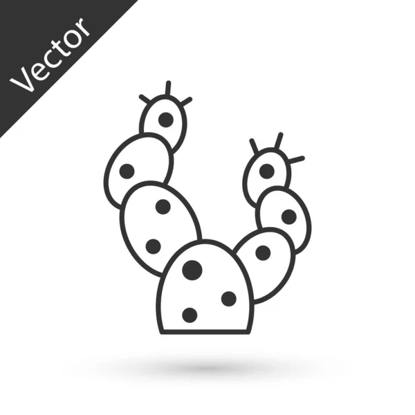 Icono Cactus Gris Aislado Sobre Fondo Blanco Vector — Vector de stock
