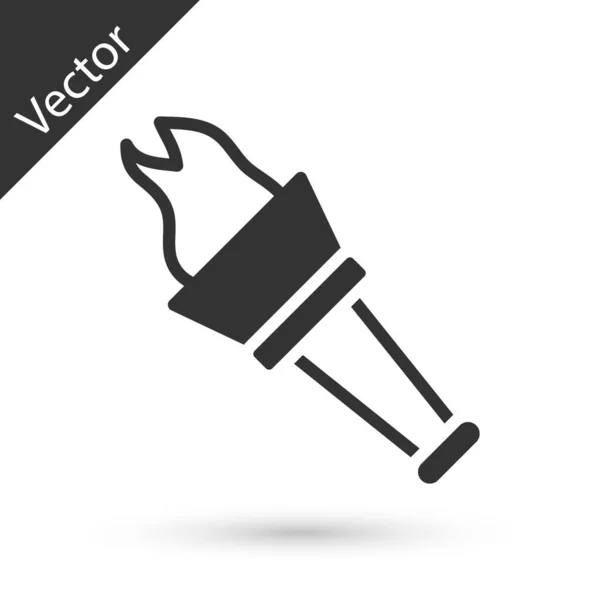 아이콘은 배경에서 분리되었습니다 화염의 타오르는 상징한다 Vector — 스톡 벡터