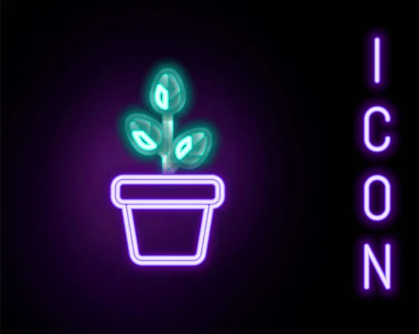 Glödande Neon Linje Blommor Potten Ikon Isolerad Svart Bakgrund Växt — Stock vektor