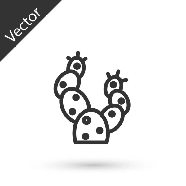 Línea Gris Icono Cactus Aislado Sobre Fondo Blanco Vector — Vector de stock