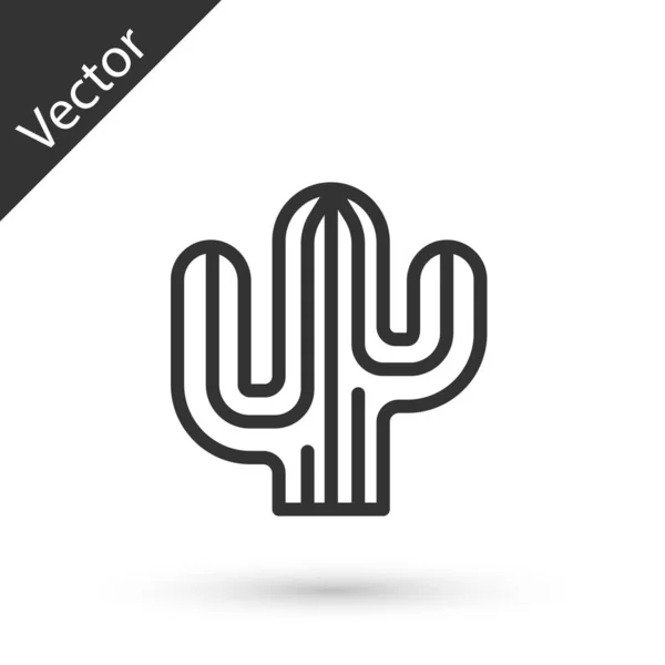 Línea Gris Icono Cactus Aislado Sobre Fondo Blanco Vector — Vector de stock
