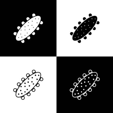 Deniz hıyarı simgesini siyah beyaz arkaplanda izole et. Deniz yemeği. Vektör..