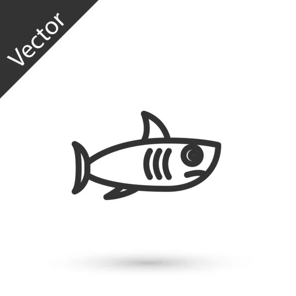 Icono Tiburón Línea Gris Aislado Sobre Fondo Blanco Vector — Vector de stock