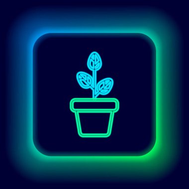 Siyah arkaplanda izole edilmiş tencere simgesinde parlayan neon çizgisi çiçekleri. Tencerede yetişen bir bitki. Saksı bitkisi işareti. Renkli taslak konsepti. Vektör