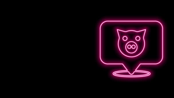 Zářící neonová čára Pig ikona izolované na černém pozadí. Zvířecí symbol. Grafická animace pohybu videa 4K — Stock video