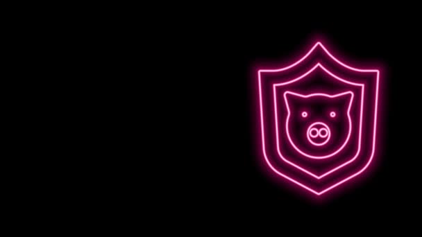 Leuchtendes Neon Line Shield mit Schweinesymbol isoliert auf schwarzem Hintergrund. Tierisches Symbol. 4K Video Motion Grafik Animation — Stockvideo