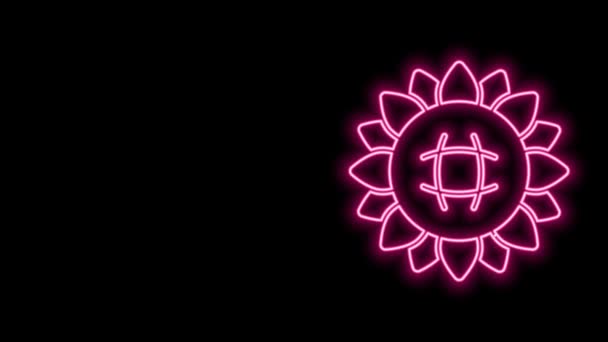 Linea neon luminosa Icona girasole isolata su sfondo nero. Animazione grafica 4K Video motion — Video Stock