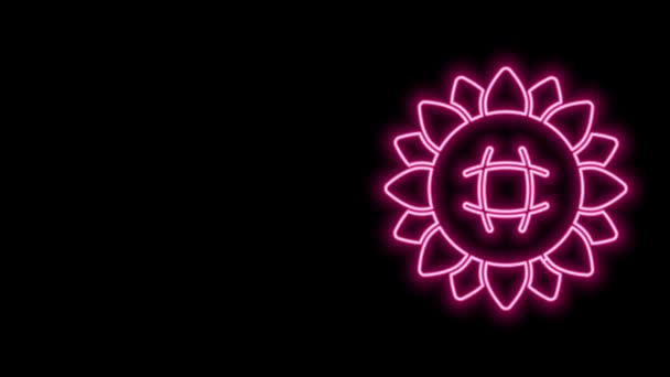 Ragyogó neon vonal Napraforgó ikon elszigetelt fekete háttérrel. 4K Videó mozgás grafikus animáció