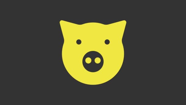 Yellow Pig icon isolated on grey background. Animal symbol. 4K Video motion graphic animation — Stock Video