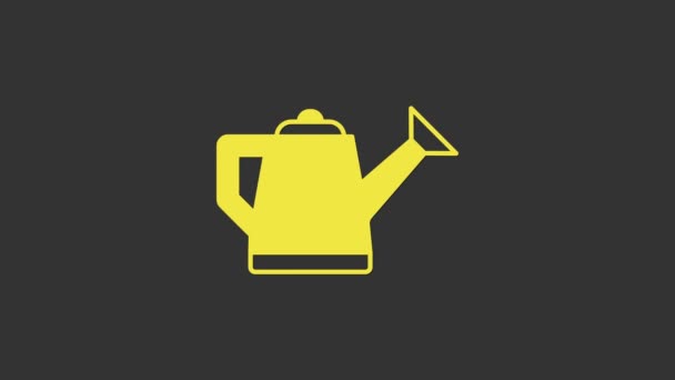 Yellow Watering can icon isolated on grey background. Irrigation symbol. 4K Video motion graphic animation — Stock Video