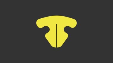 Sarı Kedi burun ikonu gri arka planda izole edildi. 4K Video hareketli grafik canlandırması