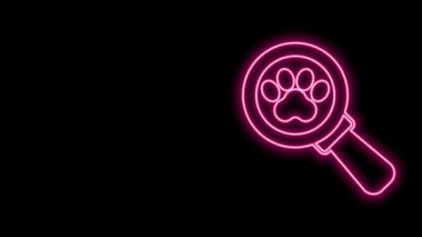 Parlayan neon hattı Veterinerlik Kliniği sembolü siyah arka planda izole edilmiş. Çapraz hastane işareti. Stilize pati izi köpek ya da kedi. Evcil hayvan ilk yardım işareti. 4K Video hareketli grafik canlandırması