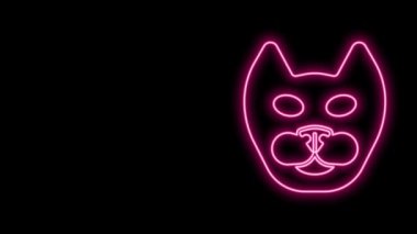Parlayan neon hattı kedi simgesi siyah arkaplanda izole edildi. 4K Video hareketli grafik canlandırması