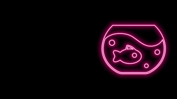 Gloeiende neon lijn Aquarium met vis pictogram geïsoleerd op zwarte achtergrond. Rond glazen aquarium. Aquarium voor thuis en huisdieren. 4K Video motion grafische animatie — Stockvideo