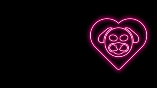 Linea neon luminosa Cuore con icona del cane isolata su sfondo nero. Zampa di animale domestico nel cuore. Con amore agli animali. Animazione grafica 4K Video motion — Video Stock