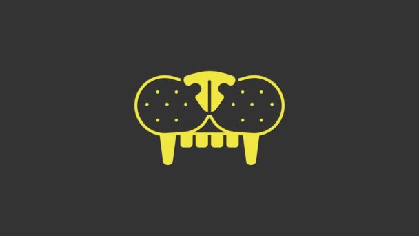 Yellow Cat tooth icon isolated on grey background. 4K Video motion graphic animation — Stock Video
