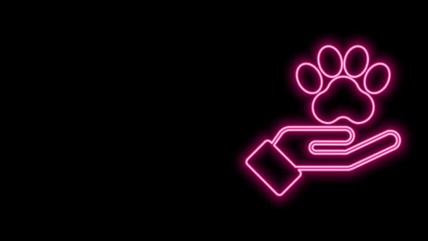 Linea neon luminosa Mani con l'icona dell'impronta animale isolata su sfondo nero. Zampa di animale domestico nel cuore. Con amore agli animali. Animazione grafica 4K Video motion — Video Stock