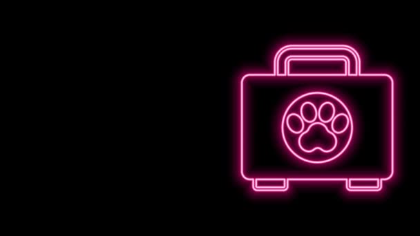 검은 배경에 네온 라인 펫의 첫 번째 보조 키트 아이콘 분리. 개나 고양이 발 자국이야. 클리닉 상자요. 4K 비디오 모션 그래픽 애니메이션 — 비디오