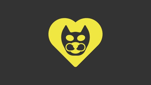 Κίτρινη Καρδιά με εικονίδιο γάτας απομονωμένο σε γκρι φόντο. Αγαπώ τα ζώα. 4K Γραφική κίνηση κίνησης βίντεο — Αρχείο Βίντεο