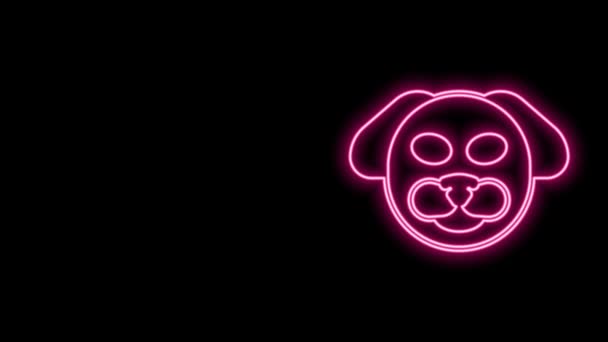 Linha de néon brilhante ícone do cão isolado no fundo preto. Animação gráfica em movimento de vídeo 4K — Vídeo de Stock