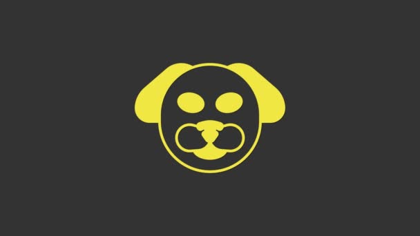 Gelbes Hundesymbol isoliert auf grauem Hintergrund. 4K Video Motion Grafik Animation — Stockvideo