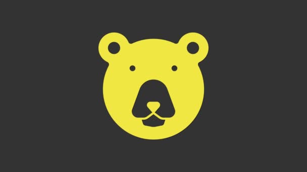 Κίτρινη αρκούδα κεφάλι εικονίδιο απομονώνονται σε γκρι φόντο. 4K Γραφική κίνηση κίνησης βίντεο — Αρχείο Βίντεο