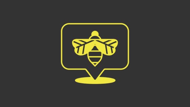 Yellow Bee icon isolated on grey background. Sweet natural food. Honeybee or apis with wings symbol. Flying insect. 4K Video motion graphic animation — Stock Video