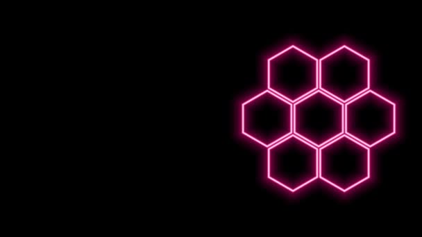 Glödande neon linje Honeycomb ikon isolerad på svart bakgrund. Honungsceller symbol. Söt naturlig mat. 4K Video motion grafisk animation — Stockvideo