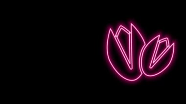Parlayan neon hattı Pistachio fındık ikonu siyah arka planda izole edildi. 4K Video hareketli grafik canlandırması