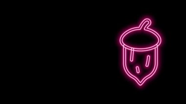 Parlak neon hattı meşe ağacı, meşe ağacı, tohum ikonu siyah arka planda izole edilmiş. 4K Video hareketli grafik canlandırması