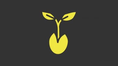 Sarı Filiz simgesi gri arkaplanda izole edildi. Tohum ve tohum. İşaret bırakıyor. Yaprak doğası. 4K Video hareketli grafik canlandırması