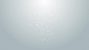 Gri arka planda izole edilmiş özel bir bitki simgesinin mavi çizgisi tohumları. 4K Video hareketli grafik canlandırması