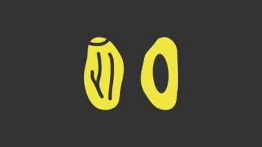 Sarı Tarih meyve simgesi gri arkaplanda izole edildi. 4K Video hareketli grafik canlandırması