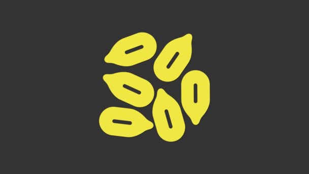 Graines jaunes d'une icône végétale spécifique isolées sur fond gris. Animation graphique de mouvement vidéo 4K — Video
