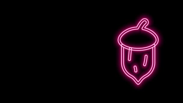 Glödande neon linje Ekollon, ek nöt, utsäde ikon isolerad på svart bakgrund. 4K Video motion grafisk animation — Stockvideo