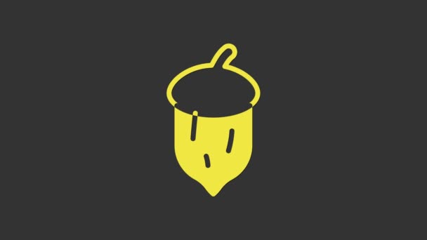Žlutý Acorn, dubový ořech, ikona osiva izolované na šedém pozadí. Grafická animace pohybu videa 4K — Stock video