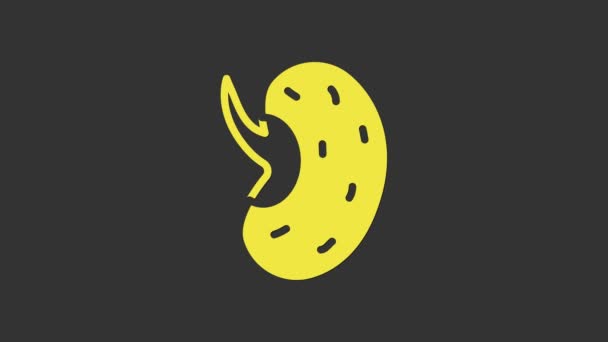 Sementes amarelas de um ícone específico da planta isolado em fundo cinza. Animação gráfica em movimento de vídeo 4K — Vídeo de Stock