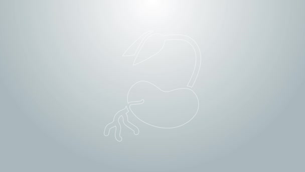 Blaue Linie Sprossen-Symbol isoliert auf grauem Hintergrund. Samen und Sämlinge. Laubblätter winken. Blätternatur. 4K Video Motion Grafik Animation — Stockvideo