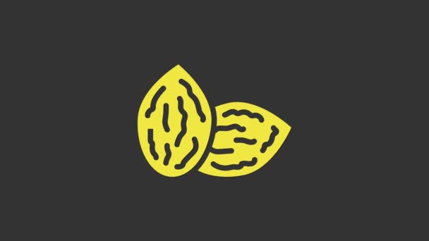 Żółte nasiona konkretnej ikony rośliny izolowane na szarym tle. 4K Animacja graficzna ruchu wideo — Wideo stockowe
