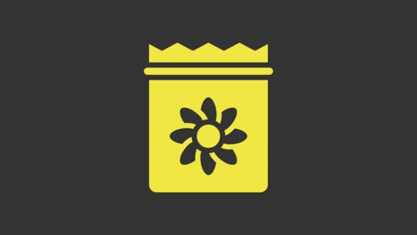 Żółte opakowanie pełne nasion określonej ikony roślinnej wyizolowanej na szarym tle. 4K Animacja graficzna ruchu wideo — Wideo stockowe