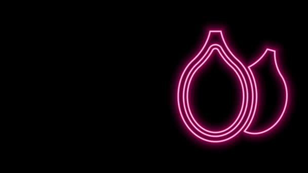 Gloeiende neon lijn Pompoenpitten pictogram geïsoleerd op zwarte achtergrond. 4K Video motion grafische animatie — Stockvideo