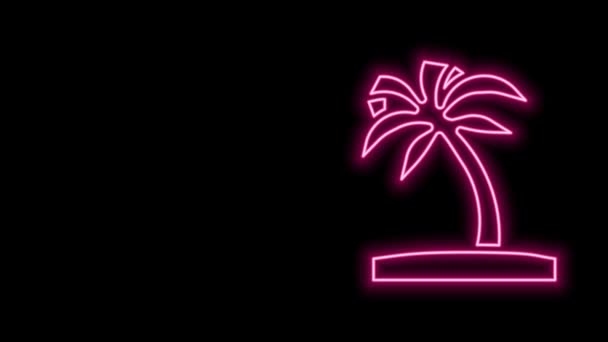 Leuchtende Neon-Linie Tropische Palme Symbol isoliert auf schwarzem Hintergrund. Kokospalme. 4K Video Motion Grafik Animation — Stockvideo