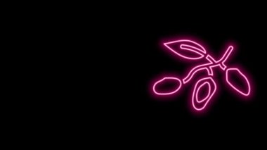 Parlayan neon çizgisi Tarih meyve simgesi siyah arkaplanda izole. 4K Video hareketli grafik canlandırması