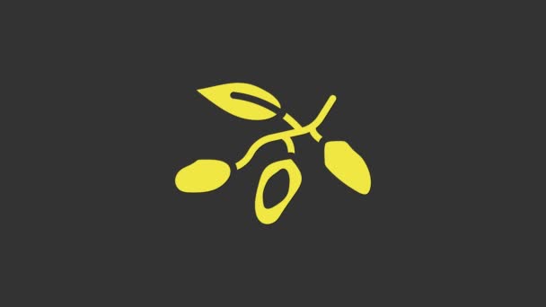Gelbes Datumsfruchtsymbol auf grauem Hintergrund. 4K Video Motion Grafik Animation — Stockvideo